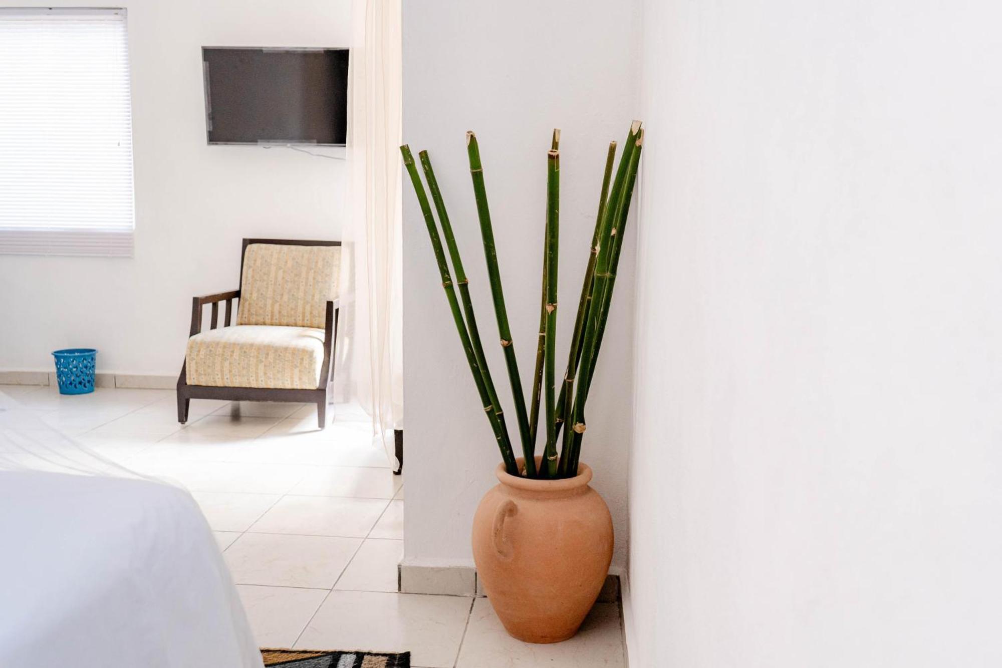 Buenosdias Izamal Bed & Breakfast Luaran gambar