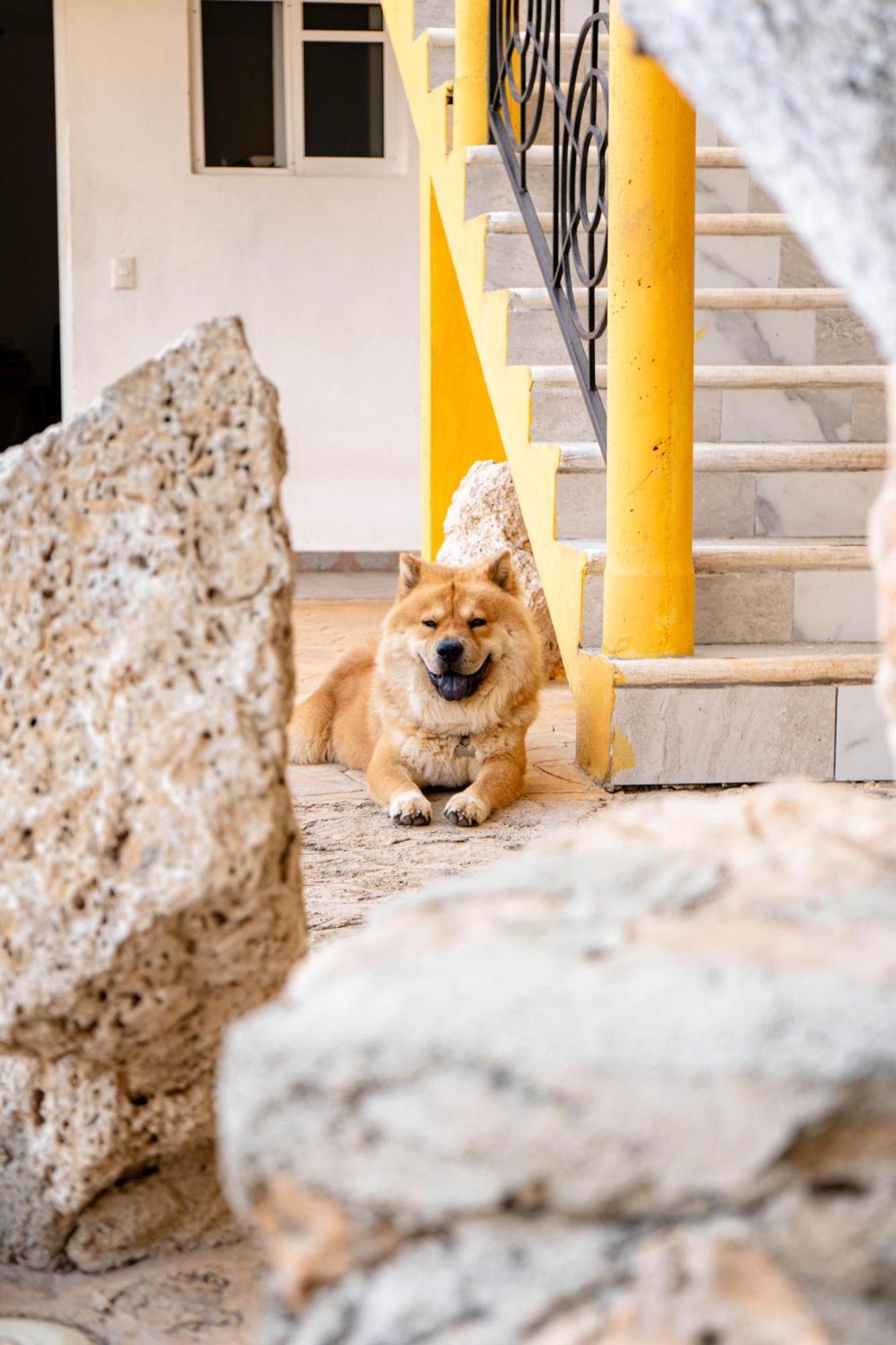 Buenosdias Izamal Bed & Breakfast Luaran gambar
